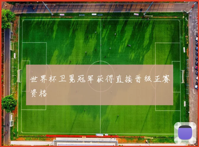 世界杯卫冕冠军获得直接晋级正赛资格