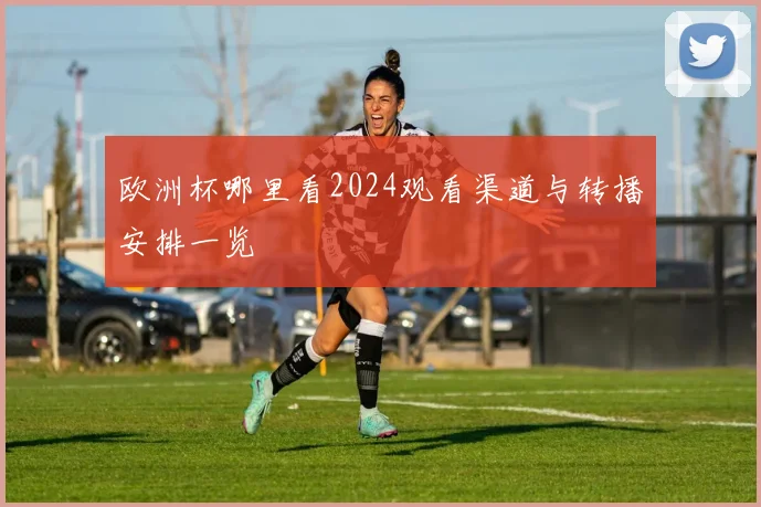 欧洲杯哪里看2024观看渠道与转播安排一览