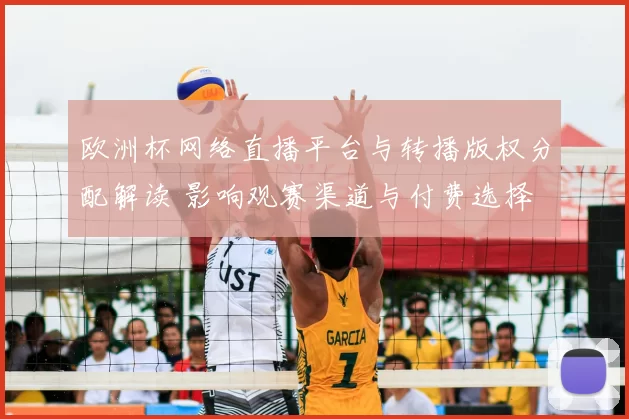 欧洲杯网络直播平台与转播版权分配解读 影响观赛渠道与付费选择