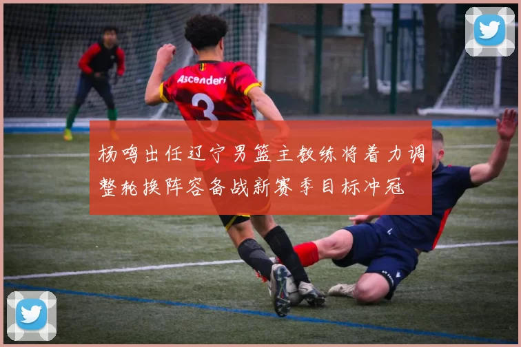 杨鸣出任辽宁男篮主教练将着力调整轮换阵容备战新赛季目标冲冠